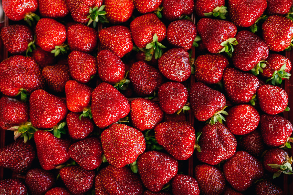 Fraises du Var